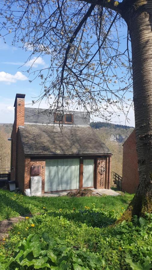 La Cabane D'Helie - Cottage En Pleine Foret - Domaine Du Bonsoy Hastiere-par-dela Экстерьер фото